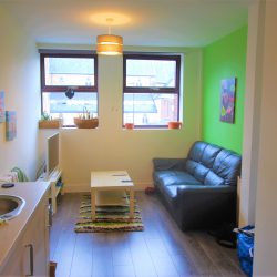 Porterbrook Apartments, Broomhall - 3B - BILLS INCLUDED!