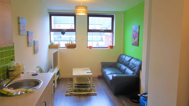 Porterbrook Apartments, Broomhall - 3B - BILLS INCLUDED!